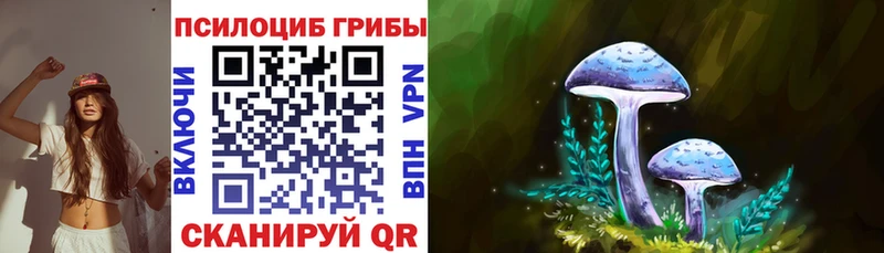 hydra ONION  Рязань  Галлюциногенные грибы Cubensis 
